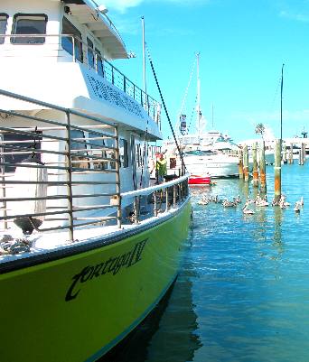 Tortuga IV Party Fishing Boat out of Key West