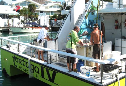 Cleaning the days catch on the Tortuga IV in Key West