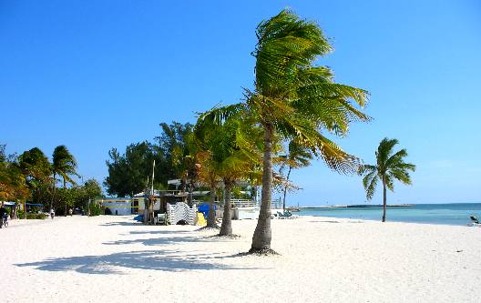 Beach at Higgs Beach in Key West