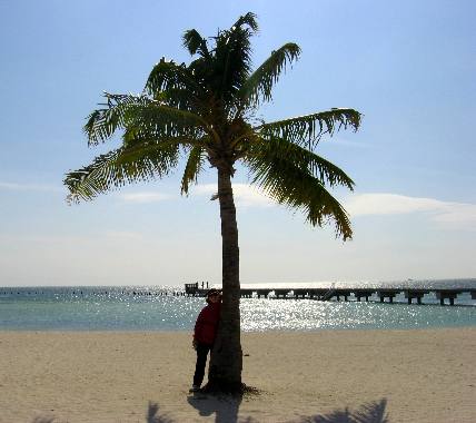 Joyce Hendrix on Higgs Beach in Key West