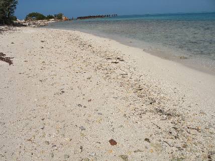 Beach on Garden Key at Fort Jefferson in the Dry Tortugas
