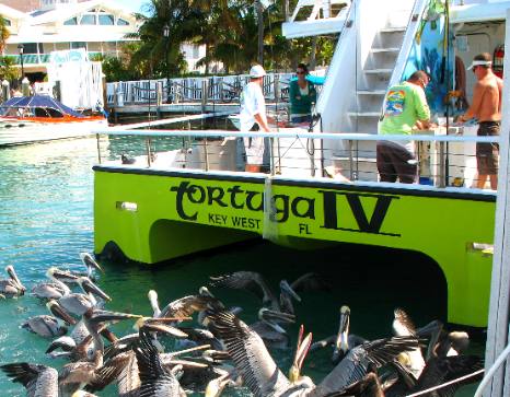 Tortuga IV is a 1/2 day fishing boat operating out of Key West Bight Marina behind Dantes