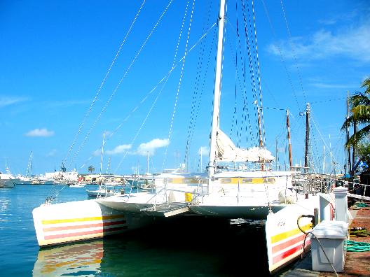 This is the Sebago a large catamaran operating out of Key West Bight Marina