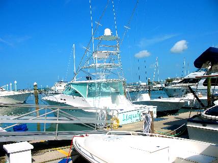 The Liquidator out of Gulf Breeze, Florida