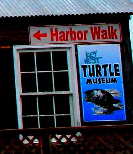 Turtle museum outside Turtle Kraals Restaurant and Bar on Harbor Walk