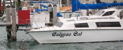We saw the CALYPSO CAT along Harbor Walk in Key West
