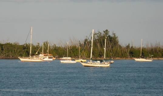Fleet of liveaboard boots moored around Christmas Tree Island