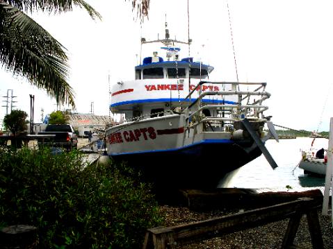 YANKEE CLIPPER - Fishing