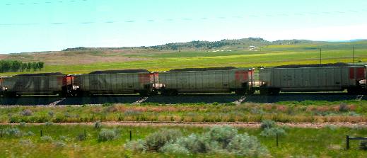 Coal trains with cars that are identically loaded headed to power plants south of here