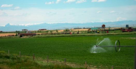Irrigated field northwest of Riverton, Wyoming along US-26