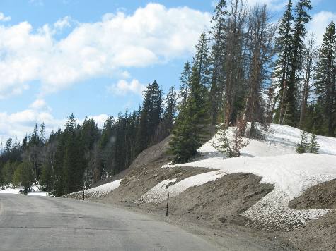 Snow in late June on Togwotee Pass in Southern Absaroka Mountains