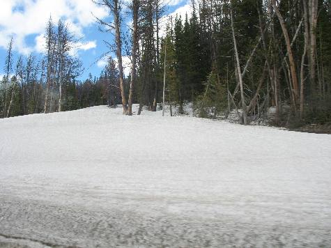 Togwotee Pass is still covered with snow in late June 2011