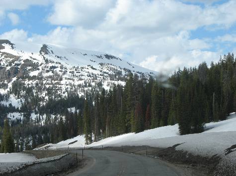 Late June near Togwotee Pass on US-26 between Dubois & Moran Junction, Wyoming in the Absaroka Mountains