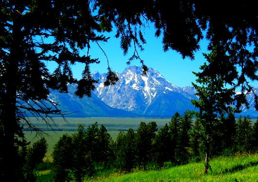 Mt Moran as seen from mountain on east side of Antelope Flats in Grand Teton National Park
