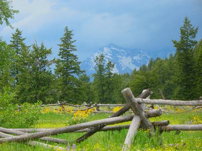 Teton Mountain Range framing this rustic fence and yellow mules ear in Grand Teton National Park