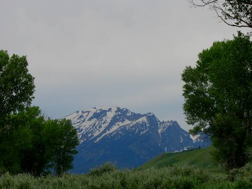 View of Teton Mountain Range from one of the tent sites at Gros Ventre Campground