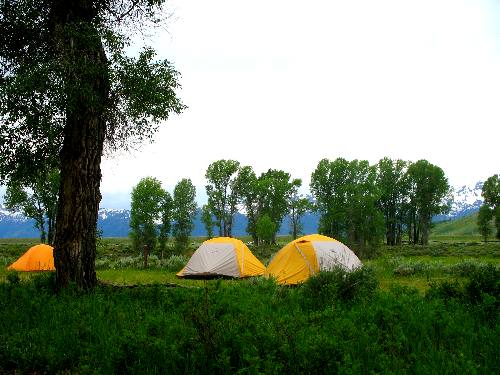 Group camping area in Gros Ventre Campground