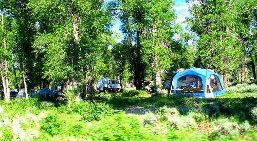 Typical view in the non-generator section of Gros Ventre Campground