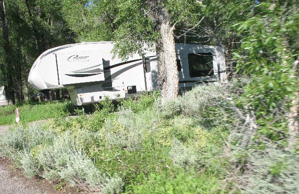 Campsites are large enough for the larger RV's in the generator section of Gros Ventre Campground