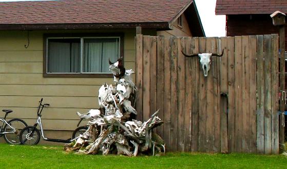 Yard decorations in Kelly, Wyoming