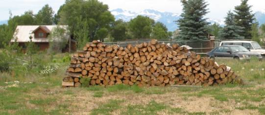 Stash of firewood left over from last winter's supply next to residence in Kelly, Wyoming