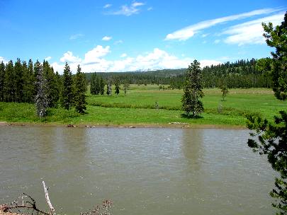 Snake River and meadow in Yellowstone National Park