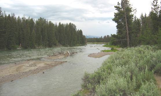 Snake River looking upstream from Cattleman's Crossing in Grand Teton National Park