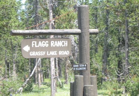 Decision time it is either Flagg Ranch or Grassy Lake Road