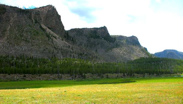 The Madison Valley in Yellowstone National Park