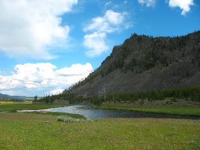 Madison Valley in Yellowstone National Park