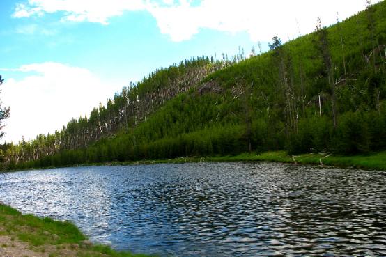 Along the Firehole River between Old Faithful and Madison Junction