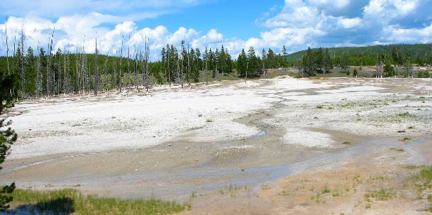 One of the thermal areas in Yellowstone National Park