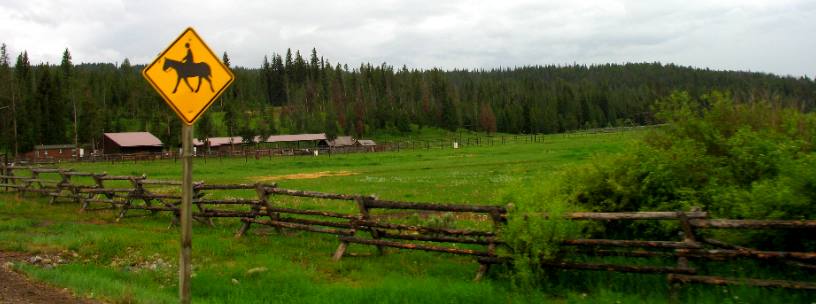 Stables and barns at Trupin Meadow Guest Ranch