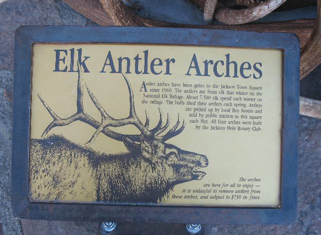 The Elk antler Arches on each corner of the town square in Jackson are one of the most memorable things to see in Jackson