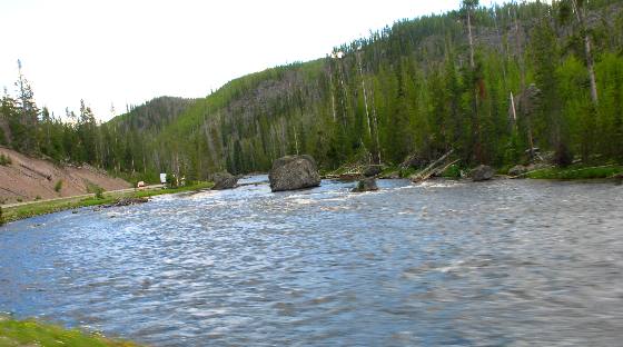Firehole River flowing along Loop Road in Yellowstone National Park