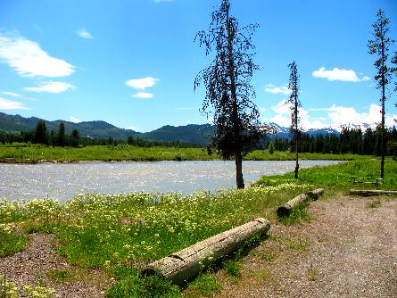 Free Campsite along Grassy Lake Road and the Snake River in John D. Rockefeller Jr. Memorial Parkway west of Flagg Ranch