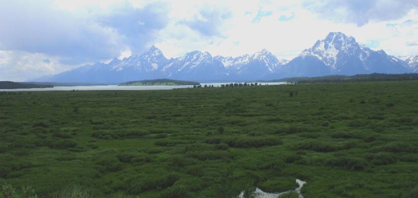 Willow Flats in Grand Teton National Park with Grand Teton Mountain and Mt Doran