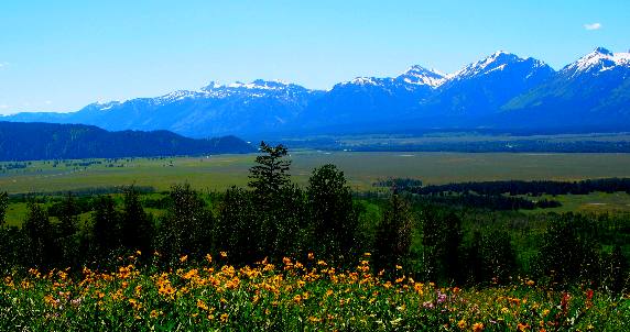 Mule Ears Antelope Flats and the Teton Range as viewed from a mountian in the National Forest east of Antelope Flats in Grand Teton National Park
