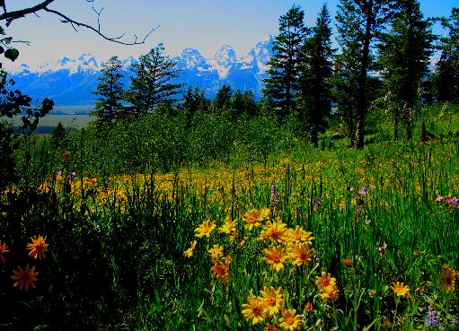 The Teton Range as seen across Antelope Flats from a mountain in the Teton National Forest east of Grand Teton National Park