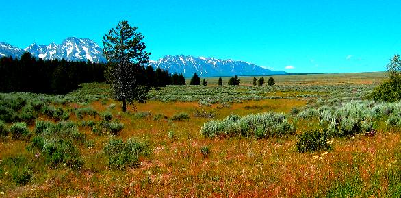 View of Mt Moran and the Teton Range looking to the northwest from the extreme eastern side of Jackson Hole and Antelope Flats in Grand Teton National Park