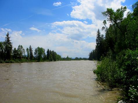 Snake River flowing near Dornan's and Menors Ferry in Grand Teton National Park