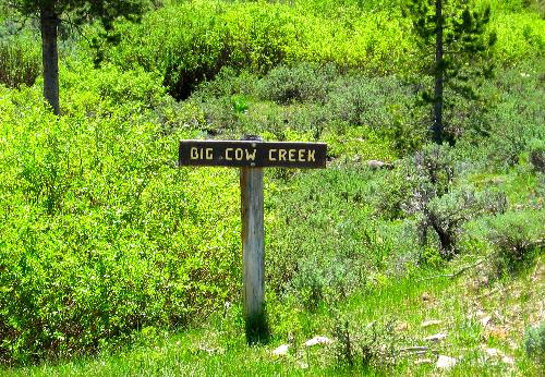 Big Cow Creek as it gets ready to cross Gros Ventre Road deep in the Gros Ventre Wilderness east of Kelly, Wyoming
