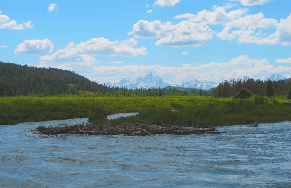 Grand Teton Mountain from Turpin Meadow Guest Ranch in the Buffalo Valley 