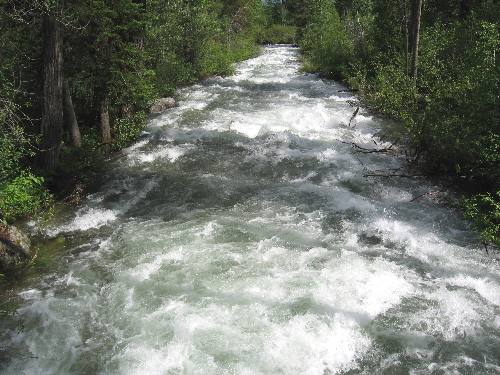 Whitewater flowing through Rockefeller Preserve in Grand Teton National Park 