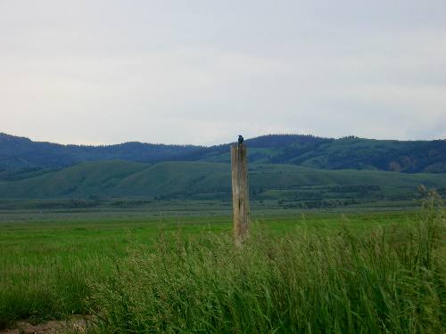 Old Farmstead along Mormon Row in Grand Teton National Park