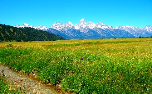 View from Mormon Row across Antelope Flats with Grand Teton Mountain and the Teton Range in the distance