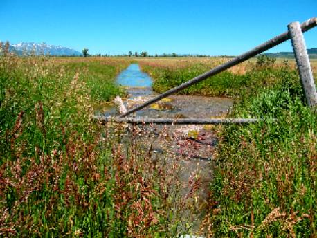 Irrigation ditch coming from Kelly Hot Springs that feeds abandoned farms along Mormon Row in Antelope Flats Grand Teton National Park