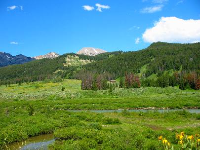 Meadow along Granite Creek deep in the Gros Ventre Wilderness southeast of Hoback Junction