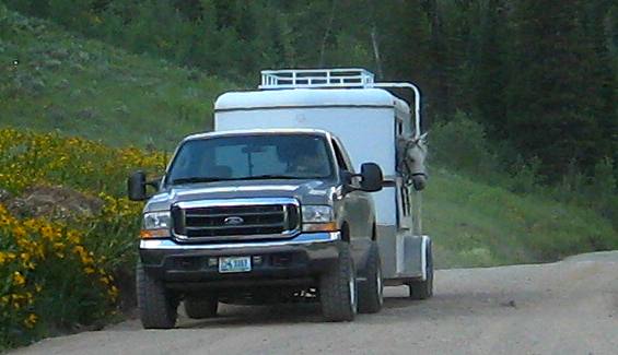 Horse trailer deep in the Gros Ventre Wilderness on Granite Creek Road southeast of Hoback Junction