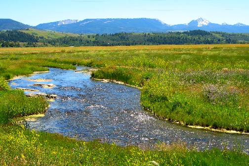 Outflow from Kelly Hot Springs heading to Mormon Row